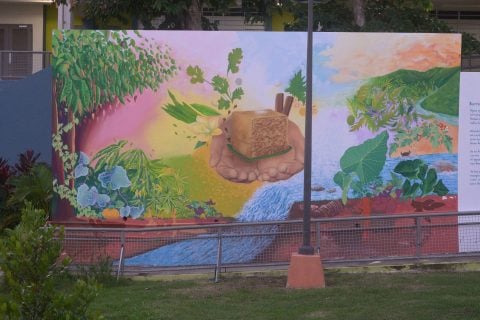 Mural El Plato Ilustre Caimito_DSC6020_4