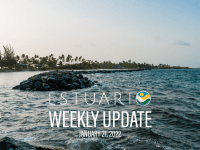 Weekly Update (January 21, 2022)