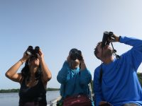 Gallery: Bird Census at San José Lagoon