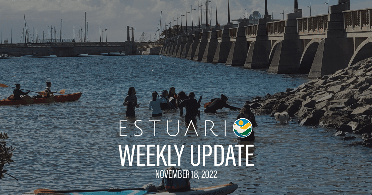 Weekly Update (November 18, 2022)