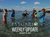 Weekly Update (February 24, 2023)