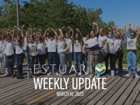 Weekly Update (March 10, 2023)