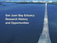San Juan Bay Estuary: Research History and Opportunities