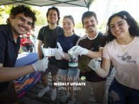 Weekly Update (April 11, 2025)