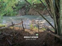 Weelkly Update (April 18, 2025)