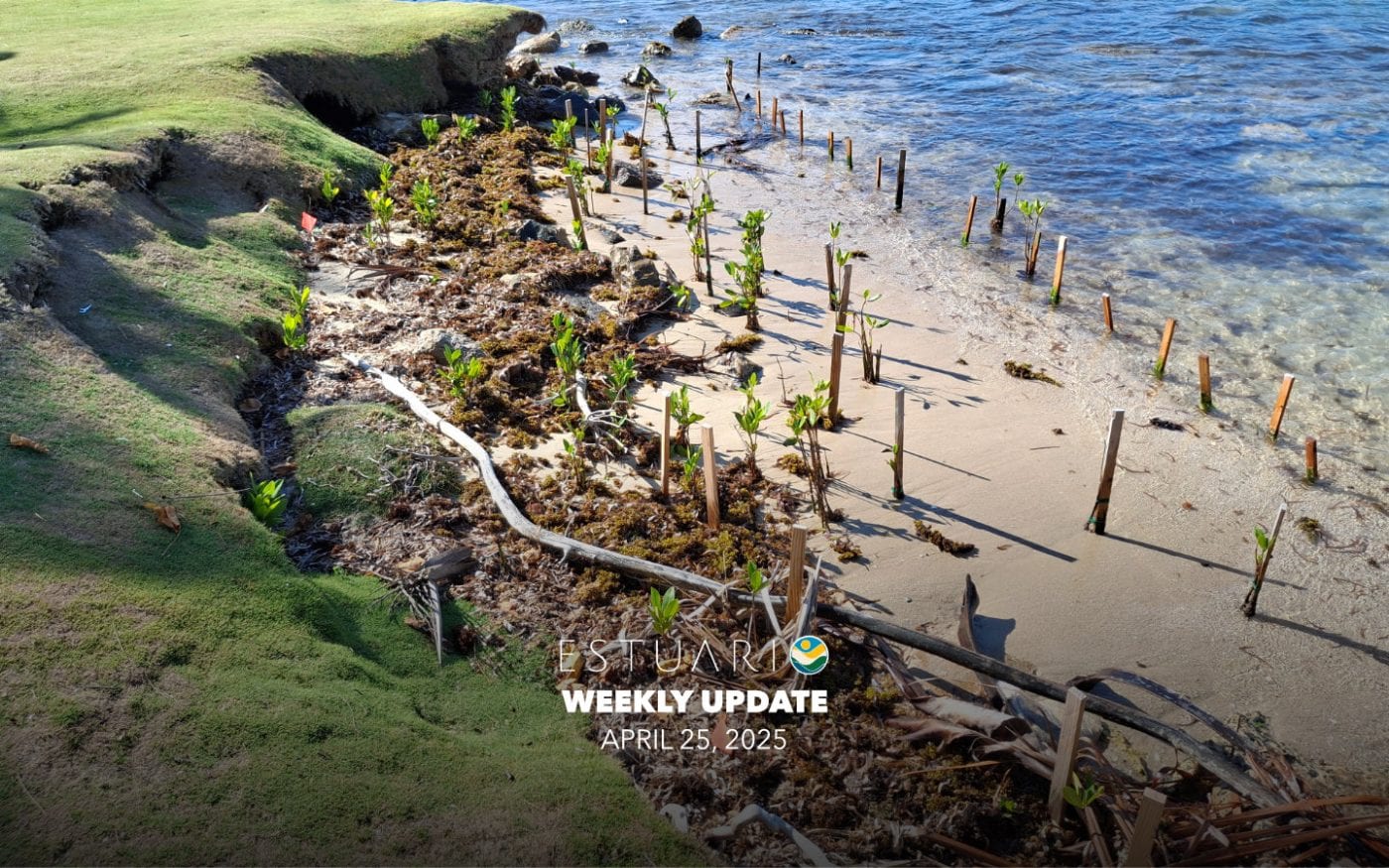 WEEKLY UPDATE - 20250425