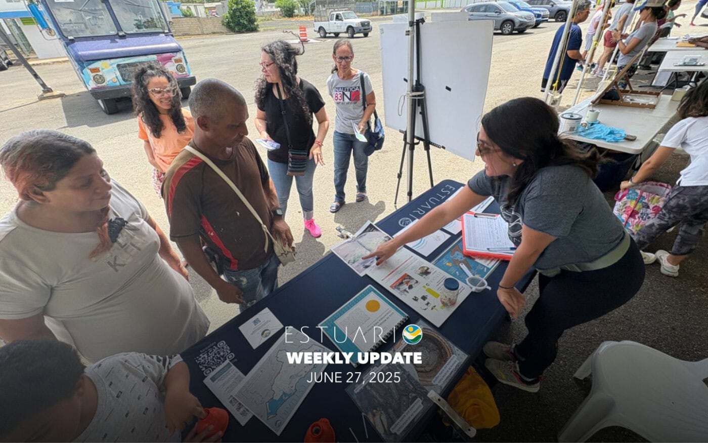 Weekly Update (June 27, 2025)