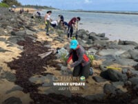 Weekly Update (July 11, 2025)