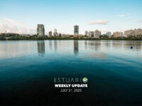 Weekly Update (July 31, 2025)