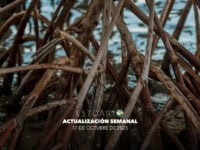 Actualización semanal (17 de octubre de 2025)