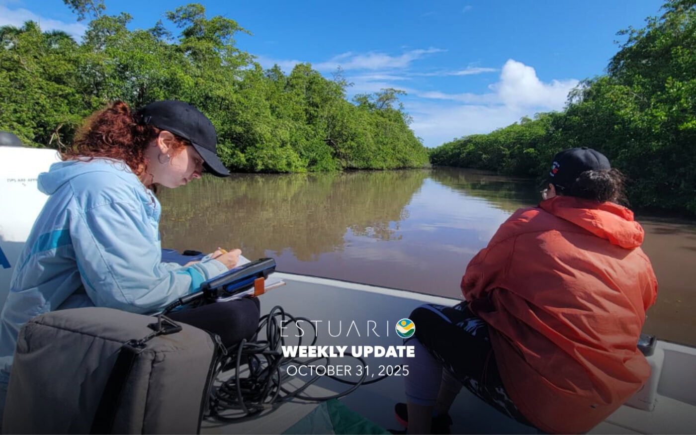 Weekly Update (October 31, 2025)