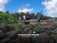 Actualización semanal (16 de enero de 2026)