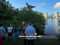 Actualización semanal (23 de enero de 2026)