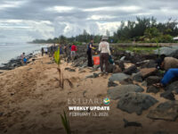 Weekly Update (February 13, 2026)