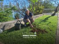 Weekly Update (February 20, 2026)