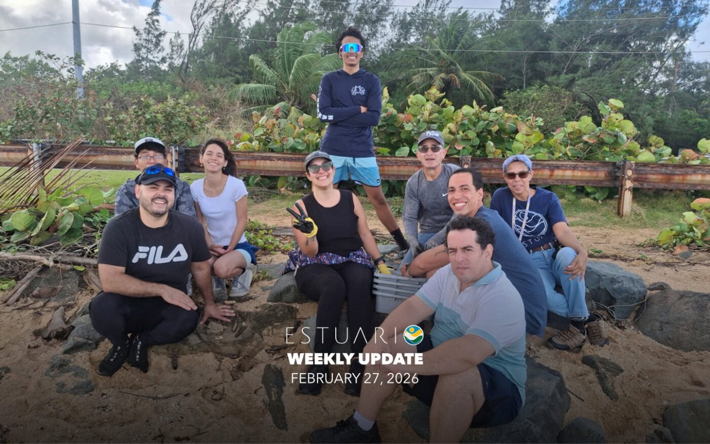 Weekly Update (February 27, 2026)