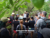 Actualización semanal (13 de marzo de 2026)