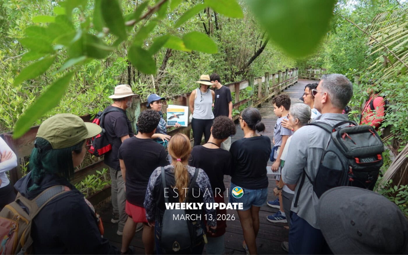 Weekly Update (March 13, 2026)