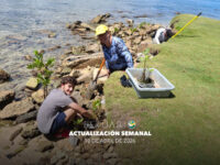 Actualización semanal (10 de abril de 2026)