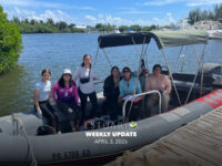 Weekly Update (April 3, 2026)