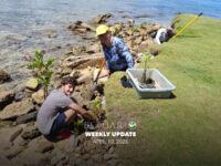 Weekly Update (April 10, 2026)