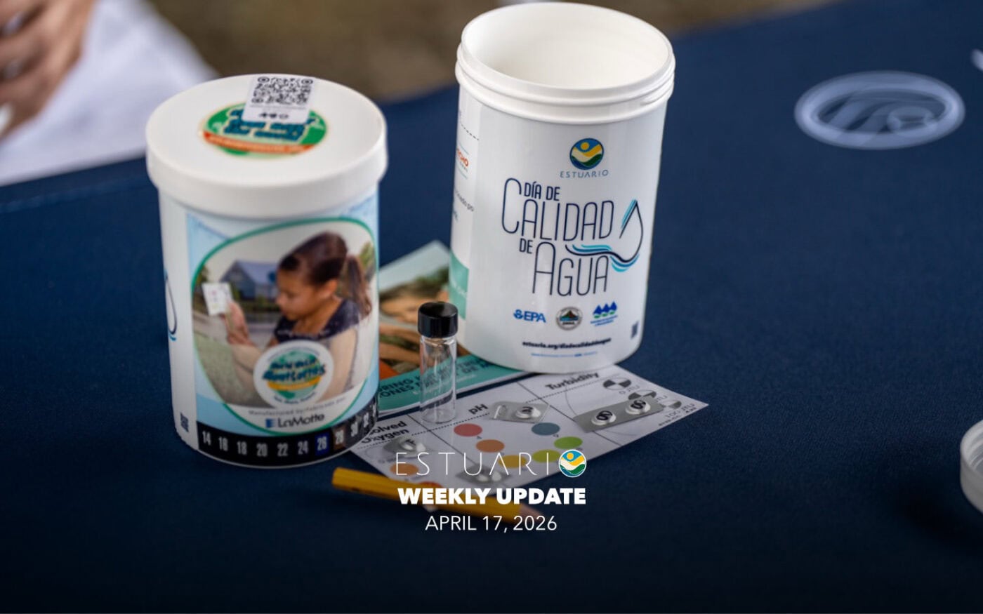 Weekly Update (April 17, 2026)