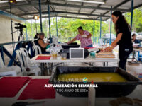 Actualización semanal (17 de julio de 2026)