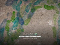 Actualización semanal (24 de julio de 2026)
