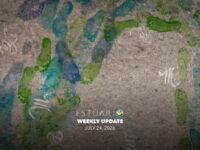Weekly Update (July 24, 2026)