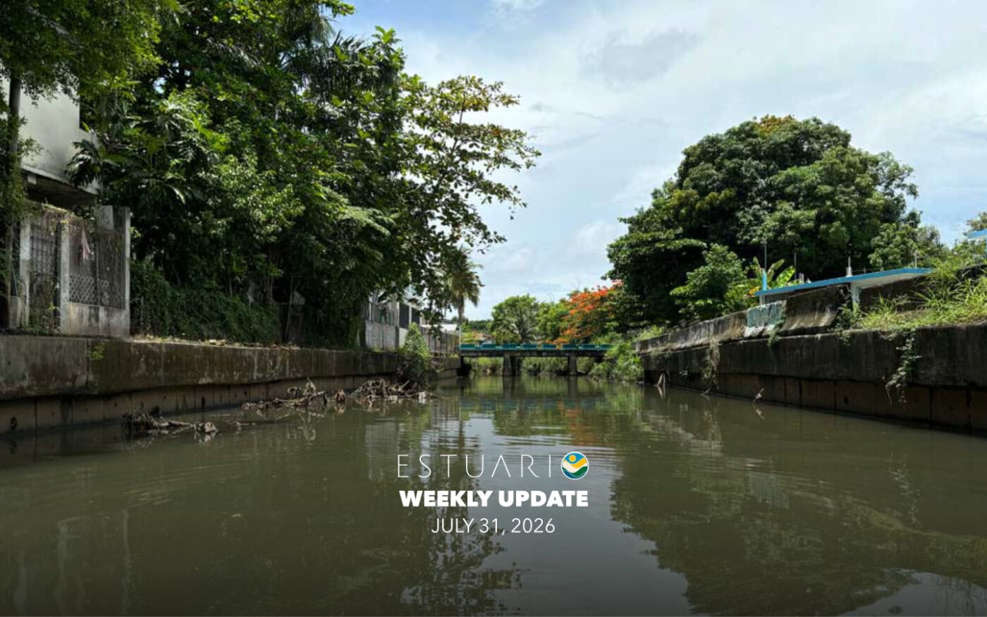Weekly Update (July 31, 2026)