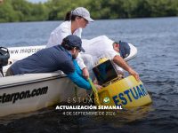 Actualización semanal (4 de septiembre de 2026)