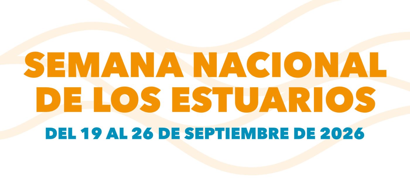 Join the celebration: National Estuaries Week
